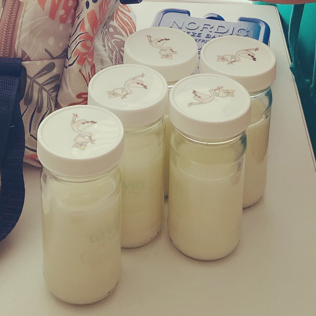 FRASCOS DE ALMACENAMIENTO DE LECHE_1